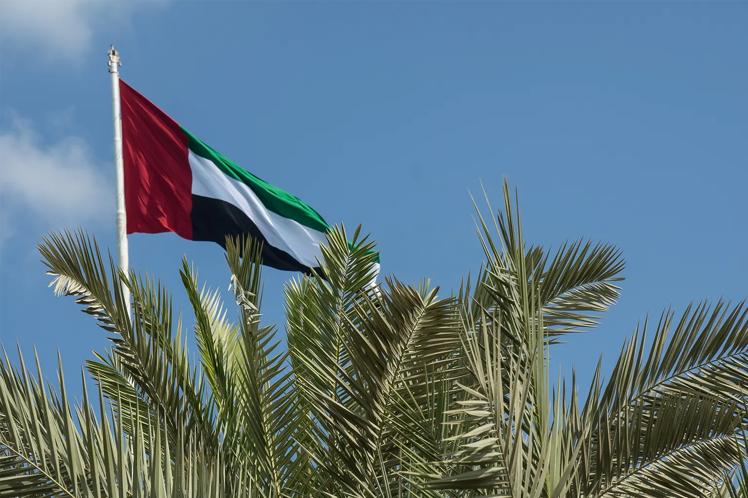 Top 12 Places You Should Definitely Visit in Hatta, Dubai 🇦🇪