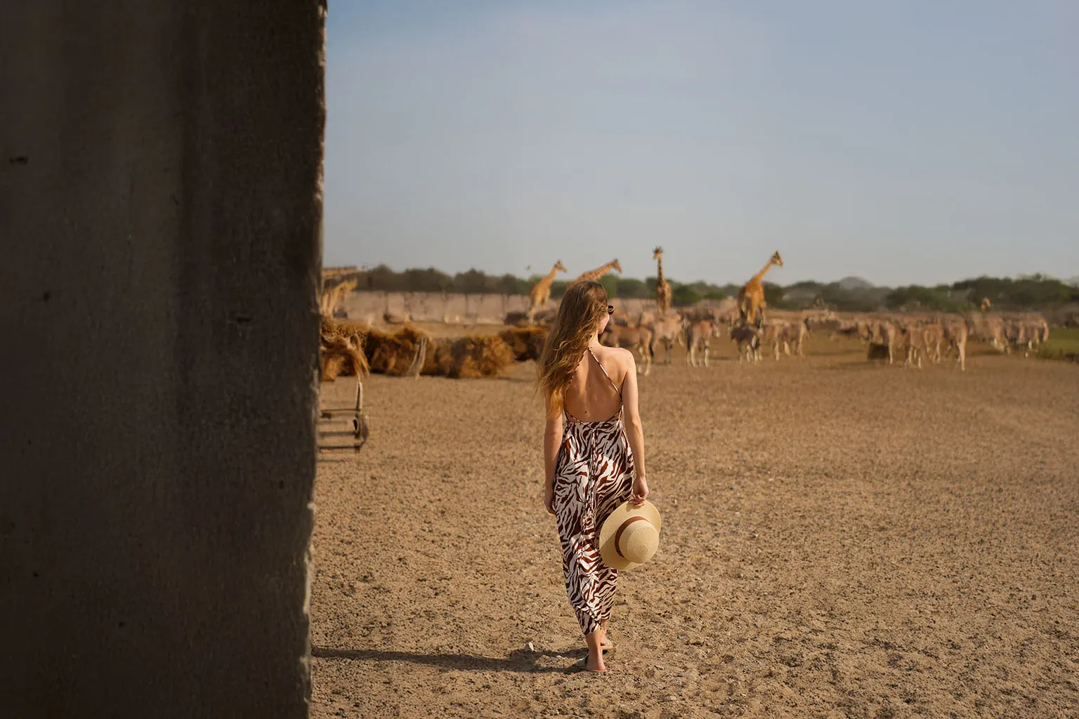 Anantara Sir Bani Yas Island – Unique Private Island Hotel in UAE