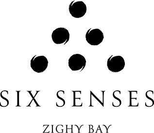 PPT-logos_0000s_0001_sixsens